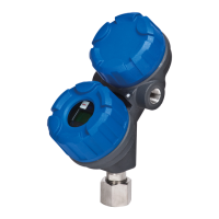 Preview: Magnetrol eclipse 705