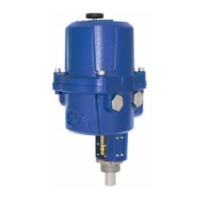 Preview: rotork CML-250
