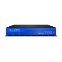 Preview: Sangoma Vega 100G