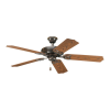 Fan Logo