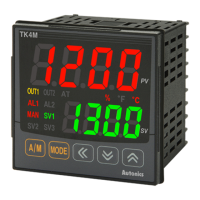 Preview: Autonics TK4N