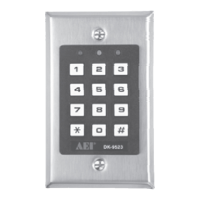 Preview: AEI DK-9523
