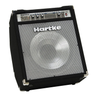 Preview: Hartke A100