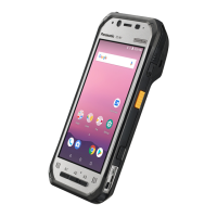 Preview: Panasonic FZ-N1