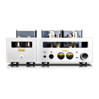 Preview: Cayin HA-300