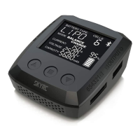 Preview: Skyrc B6 nano