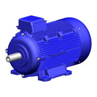 Preview: KSB IE3