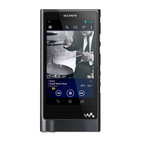 Preview: Sony NW-ZX2