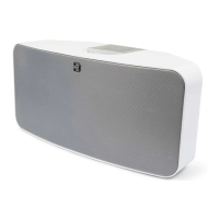 Preview: Bluesound Pulse P300