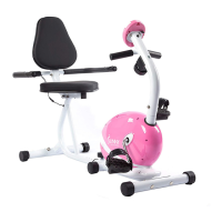 Preview: Sunny Health & Fitness P8400