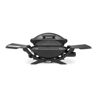 Preview: Weber Q 1000