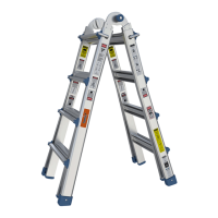 Preview: The Renovator Transforma Ladder