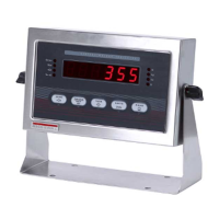 Preview: Rice Lake IQ plus 355