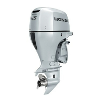 Preview: Honda BF115D