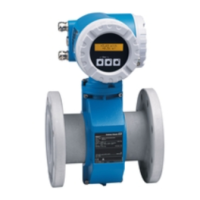 Preview: Endress+Hauser promag 30