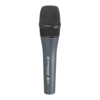Preview: Sennheiser E 865