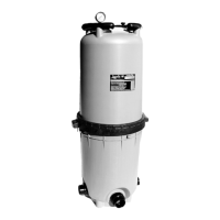 Preview: Jandy CJ200