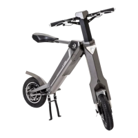 Preview: Raycon SCOOT-E-BIKE FLEX