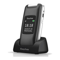 Preview: Easyfone C512W