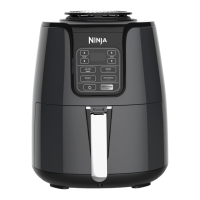 Preview: Ninja AIR FRY 101