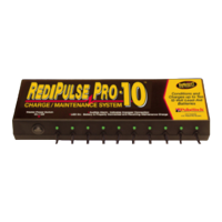 Preview: PulseTech RediPulse Pro-10