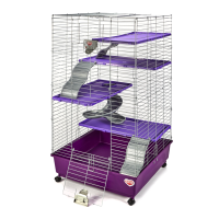 Preview: Kaytee My First Home Ferret