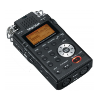 Preview: Tascam DR-100