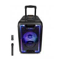 Preview: iDance MEGABOX 1000
