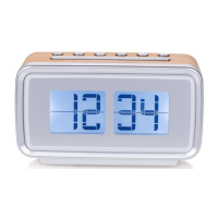 Preview: AudioSonic CL-1474