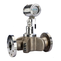 Preview: Baker Hughes PanaFlow Z1G