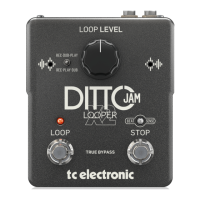 Preview: DITTO JAM X2 LOOPER