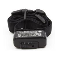 Preview: Petsafe ProLite