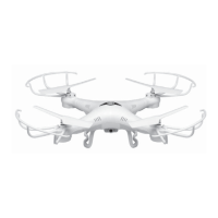Preview: sky rider Griffon Pro DRW618