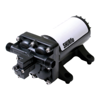 Preview: Pentair SHURFLO 4029-110-X02