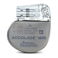 Preview: Boston Scientific L110
