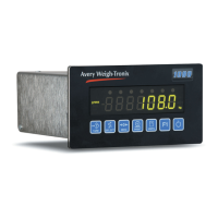 Preview: Avery Weigh-Tronix 1080