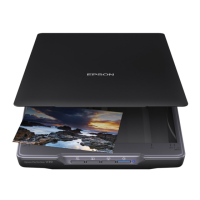 Preview: Epson Perfection V19