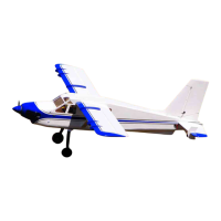Preview: Extreme Flight Turbo Bushmaster