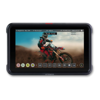 Preview: Atomos NinjaV