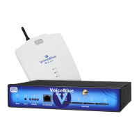 Preview: 2N VoiceBlue Next