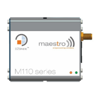 Preview: Maestro M111