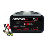 Preview: Schumacher 10 Amp