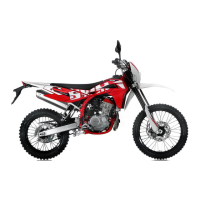 Preview: SWM RS 125 R 2016