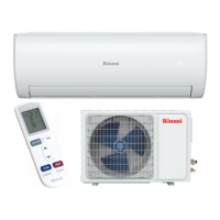 Preview: Rinnai HSNRQ25B