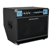 Preview: Acoustic B300C