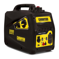 Preview: Champion Power Equipment 100565
