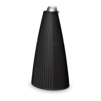 Preview: Bang & Olufsen BeoLab 9 6217
