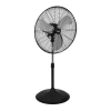 Fan Logo