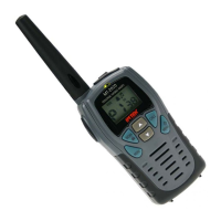 Preview: Intek MT-2020