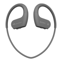 Preview: Sony Walkman